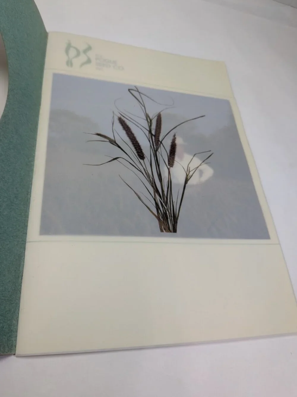 Flocked Cover Mat Vintage 1983 G.E. Pogue Seed Co Catalog Texas Grass Ephemera
